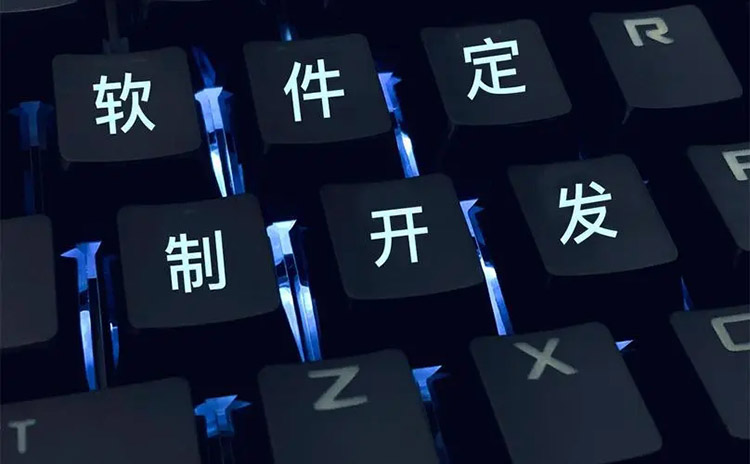 成都软件开发单一营销网站与组合营销软件谁将主宰市场？